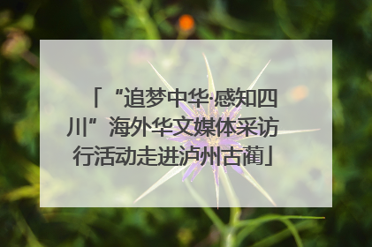 “追梦中华·感知四川”海外华文媒体采访行活动走进泸州古蔺