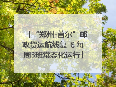 “郑州-首尔”邮政货运航线复飞 每周3班常态化运行