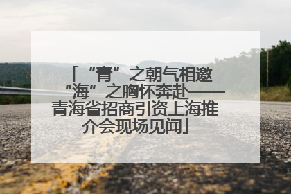 “青”之朝气相邀 “海”之胸怀奔赴——青海省招商引资上海推介会现场见闻