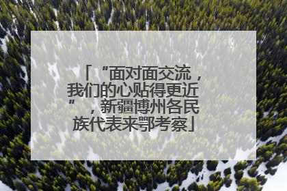 “面对面交流，我们的心贴得更近”，新疆博州各民族代表来鄂考察