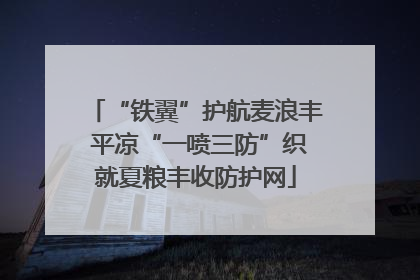 “铁翼”护航麦浪丰 平凉“一喷三防”织就夏粮丰收防护网