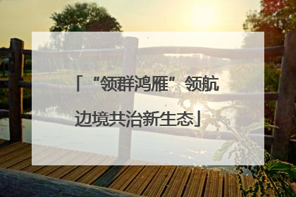 “领群鸿雁”领航边境共治新生态
