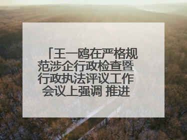 王一鸥在严格规范涉企行政检查暨行政执法评议工作会议上强调 推进涉企行政检查质效大幅提升