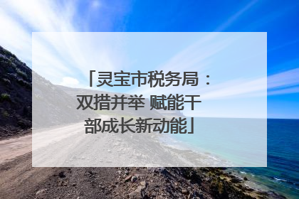 灵宝市税务局：双措并举 赋能干部成长新动能