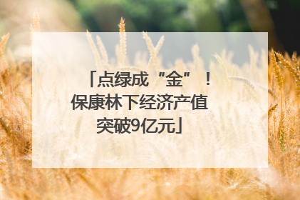 点绿成“金”！保康林下经济产值突破9亿元