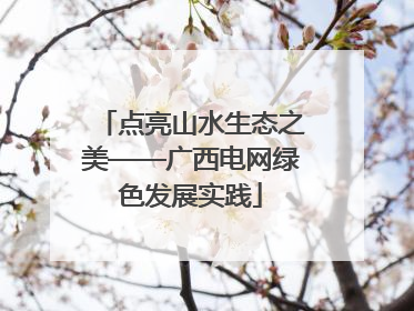 点亮山水生态之美——广西电网绿色发展实践