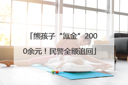 熊孩子“氪金”2000余元！民警全额追回
