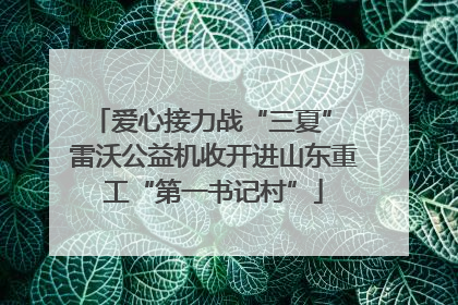 爱心接力战“三夏” 雷沃公益机收开进山东重工“第一书记村”