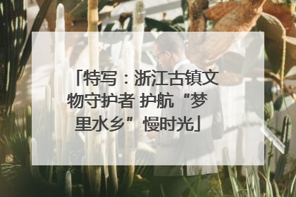 特写：浙江古镇文物守护者 护航“梦里水乡”慢时光