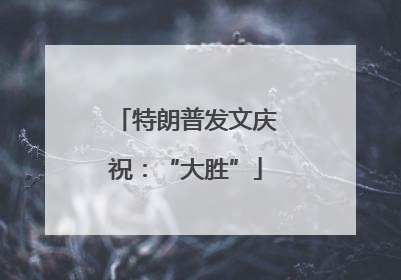 特朗普发文庆祝：“大胜”