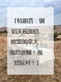 特朗普：钢铝关税加倍 欧盟加拿大：强烈遗憾！强烈反对！