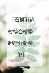 石狮港边村综合楼擎起产业新希望