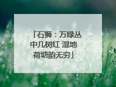 石狮：万绿丛中几树红 湿地荷塘韵无穷