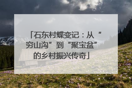 石东村蝶变记：从“穷山沟”到“聚宝盆”的乡村振兴传奇