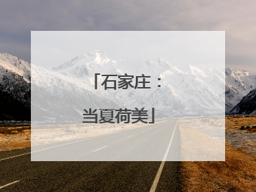 石家庄：当夏荷美
