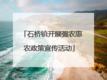 石桥镇开展强农惠农政策宣传活动