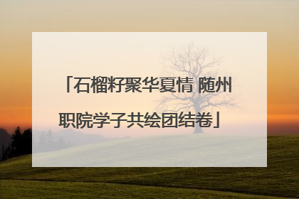 石榴籽聚华夏情 随州职院学子共绘团结卷