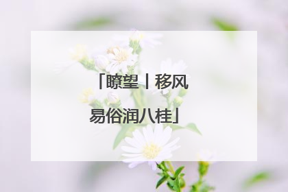 瞭望丨移风易俗润八桂