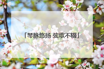 琴脉悠扬 弦歌不辍