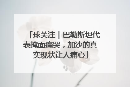 球关注｜巴勒斯坦代表掩面痛哭，加沙的真实现状让人痛心