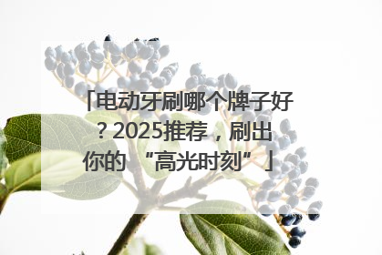 电动牙刷哪个牌子好？2025推荐，刷出你的 “高光时刻”