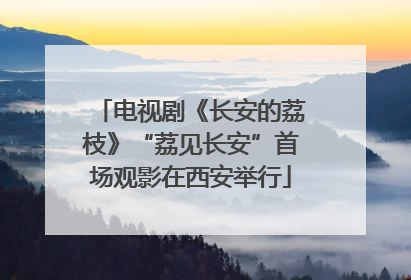 电视剧《长安的荔枝》“荔见长安”首场观影在西安举行
