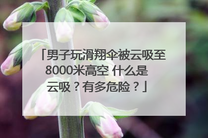 男子玩滑翔伞被云吸至8000米高空 什么是云吸？有多危险？