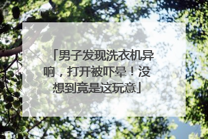 男子发现洗衣机异响，打开被吓晕！没想到竟是这玩意