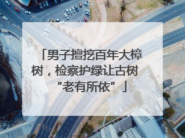 男子擅挖百年大樟树，检察护绿让古树“老有所依”