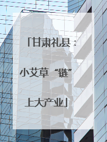 甘肃礼县：小艾草“链”上大产业