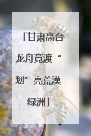 甘肃高台龙舟竞渡“划”亮荒漠绿洲