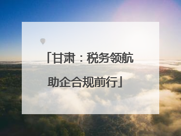 甘肃：税务领航 助企合规前行