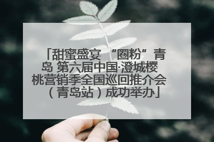 甜蜜盛宴 “圈粉”青岛 第六届中国·澄城樱桃营销季全国巡回推介会（青岛站）成功举办