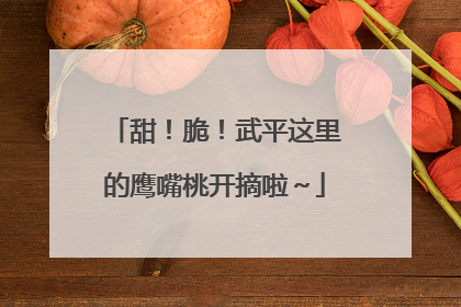甜！脆！武平这里的鹰嘴桃开摘啦～
