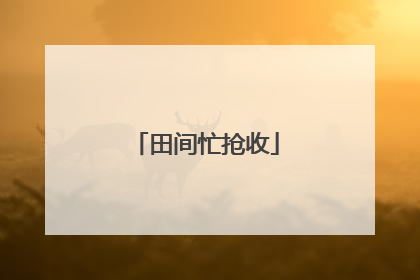 田间忙抢收