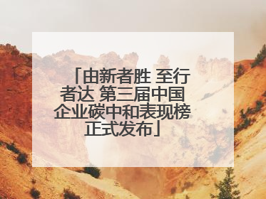 由新者胜 至行者达 第三届中国企业碳中和表现榜正式发布