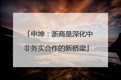 申坤：浙商是深化中非务实合作的新桥梁