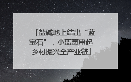 盐碱地上结出“蓝宝石”，小蓝莓串起乡村振兴全产业链
