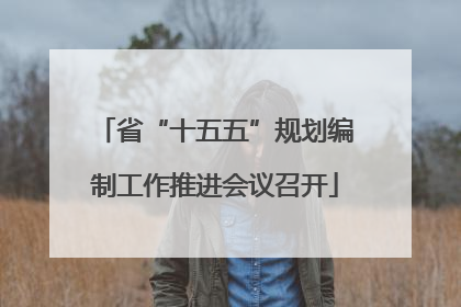 省“十五五”规划编制工作推进会议召开