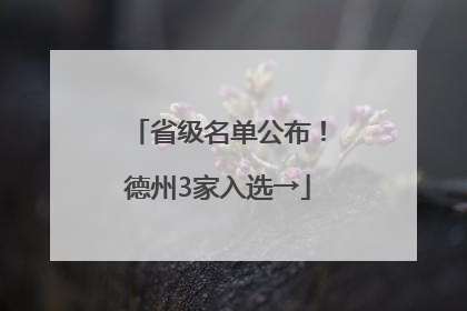 省级名单公布！德州3家入选→