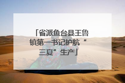 省派鱼台县王鲁镇第一书记护航“三夏”生产