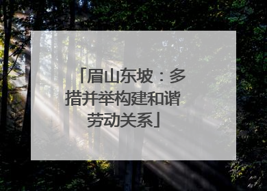 眉山东坡：多措并举构建和谐劳动关系