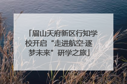 眉山天府新区行知学校开启“走进航空·逐梦未来”研学之旅