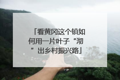 看黄冈这个镇如何用一片叶子“沏”出乡村振兴路