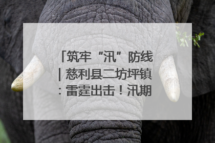 筑牢“汛”防线｜慈利县二坊坪镇：雷霆出击！汛期捕鱼被紧急叫停