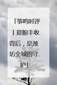 筝鸣时评丨夏粮丰收背后，是潍坊全城的守护