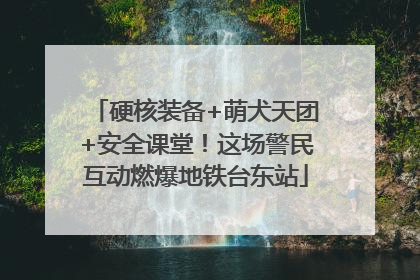 硬核装备+萌犬天团+安全课堂！这场警民互动燃爆地铁台东站