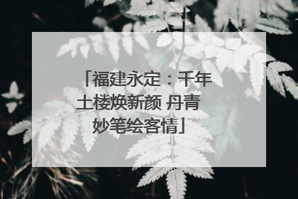 福建永定：千年土楼焕新颜 丹青妙笔绘客情