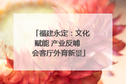 福建永定：文化赋能 产业反哺 会客厅外育新景