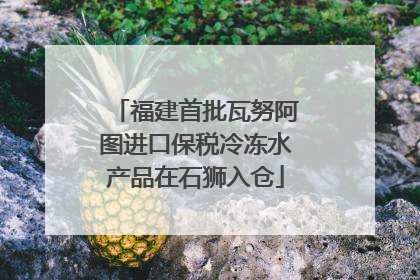 福建首批瓦努阿图进口保税冷冻水产品在石狮入仓